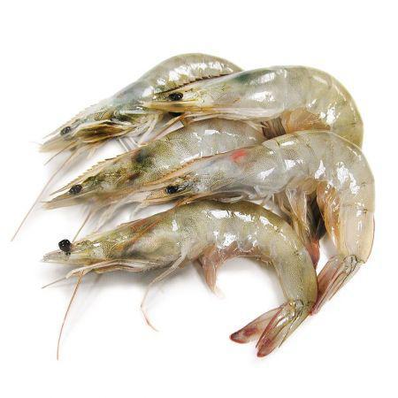 10/20 Head On shrimp Colossal  Per Pound / Camaron Colossal con Cabeza Por Libra