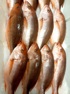 Red Snapper / Huachinango Fish