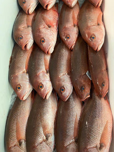 Red Snapper / Huachinango Fish