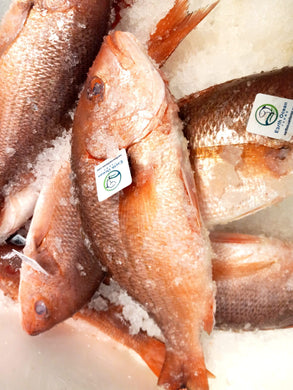 Red Snapper / Huachinango Fish whole 3 pounds fish