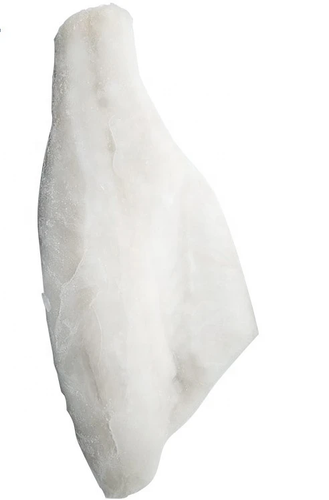 White Seabass Fillet/Filete de Corvina Blanca