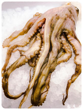 Load image into Gallery viewer, Wild Whole Mexican Octopus 2/4 - Pulpo Mexicano Salvaje, Per Pound