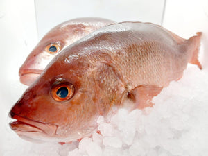 Red Snapper / Huachinango Fish