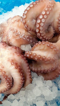 Load image into Gallery viewer, Octopus Cooked Mexican - Pulpo Cocido Mexicano