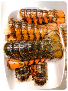 Lobster Tail 14 + oz JUMBO - Cola de Langosta de 10 + oz JUMBO . Price per Pound. Precio Por Libra.